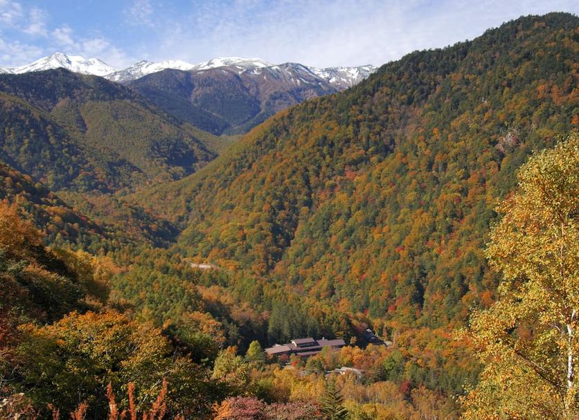 Outdoors view Photo