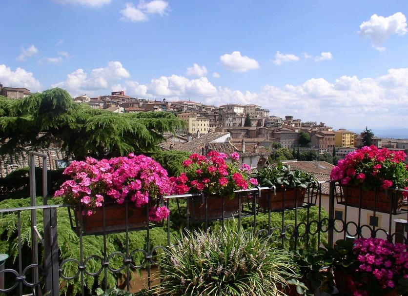 Outdoors view Photo