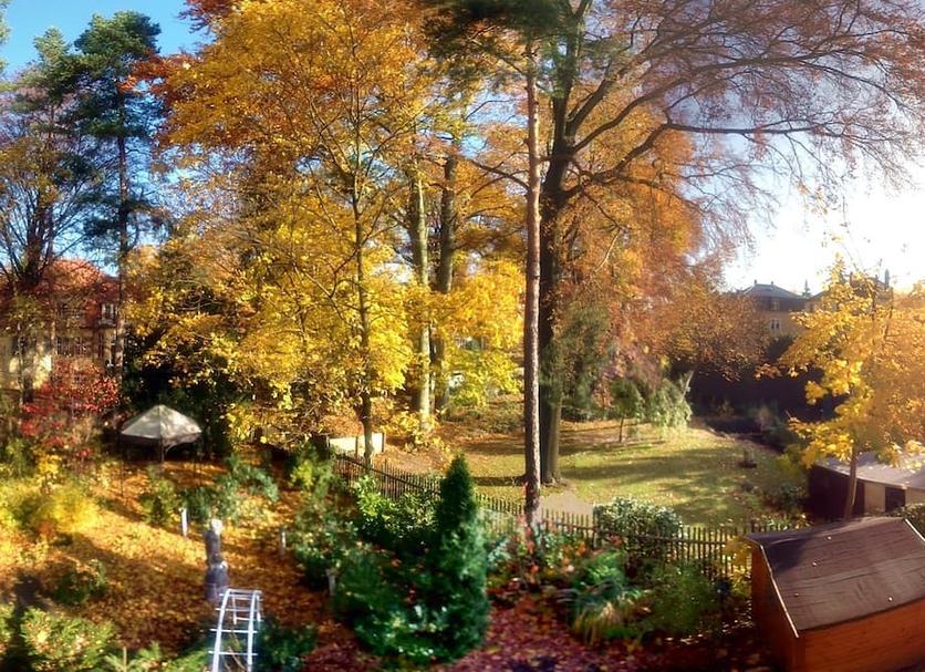 Outdoors view Photo