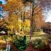 Outdoors view