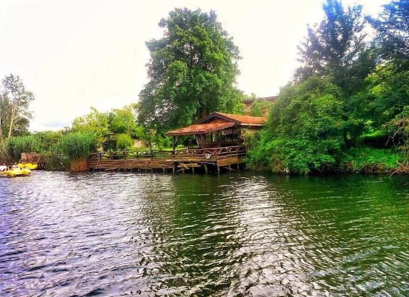 Outdoors view Photo