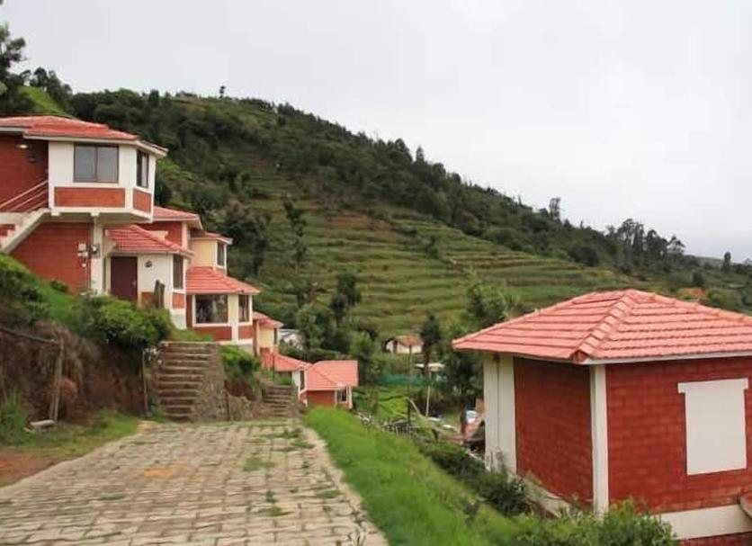 Outdoors view Photo