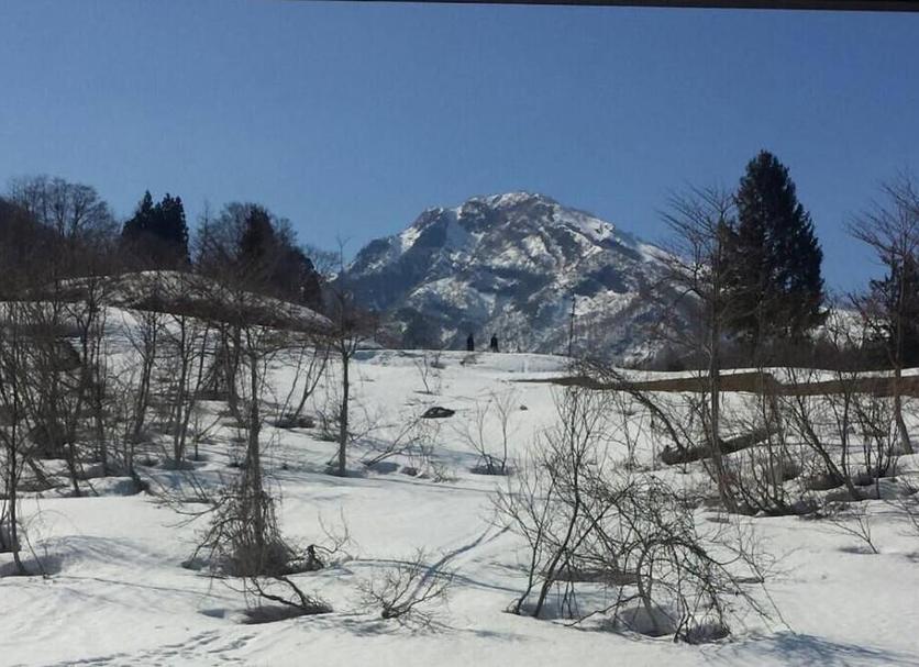Outdoors view Photo