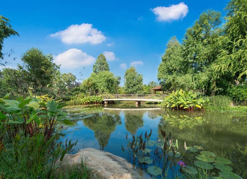 Outdoors view Photo