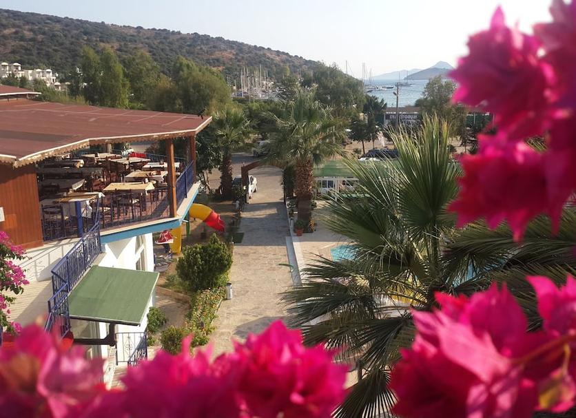 Outdoors view Photo