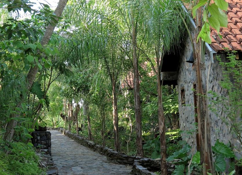 Outdoors view Photo