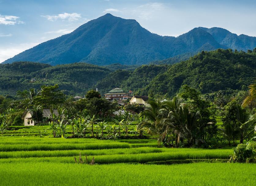 Outdoors view Photo