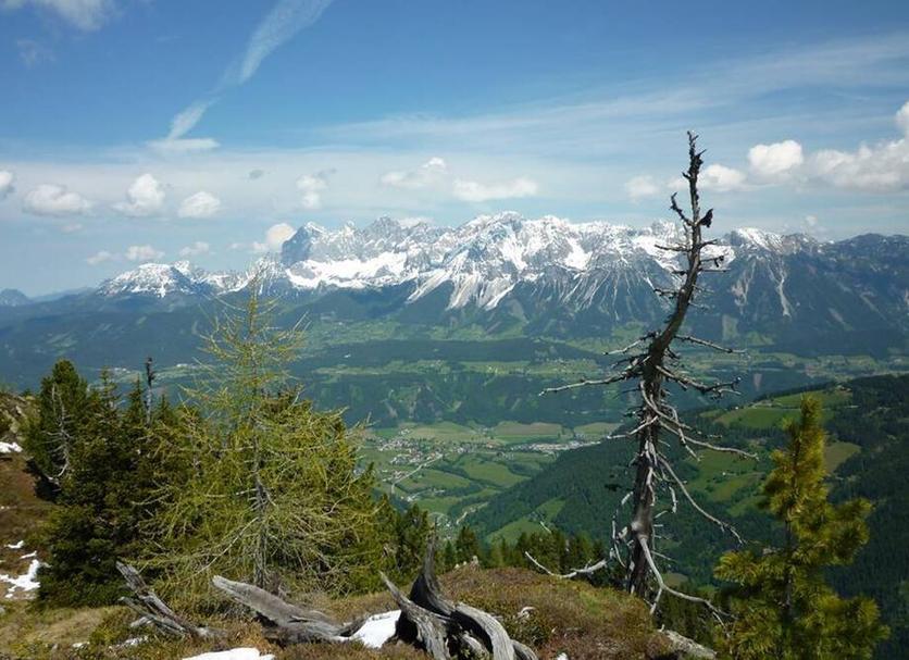 Outdoors view Photo