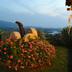 Outdoors view