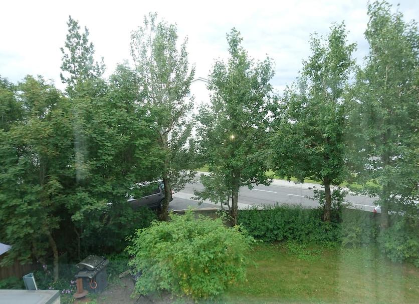 Outdoors view Photo