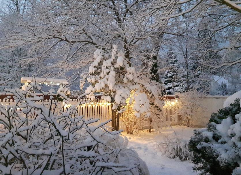 Outdoors view Photo