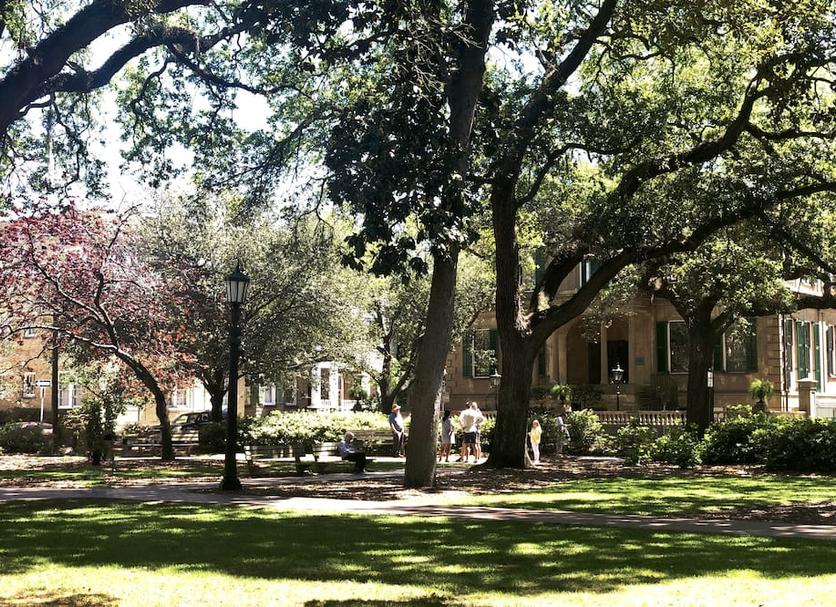 Outdoors view Photo