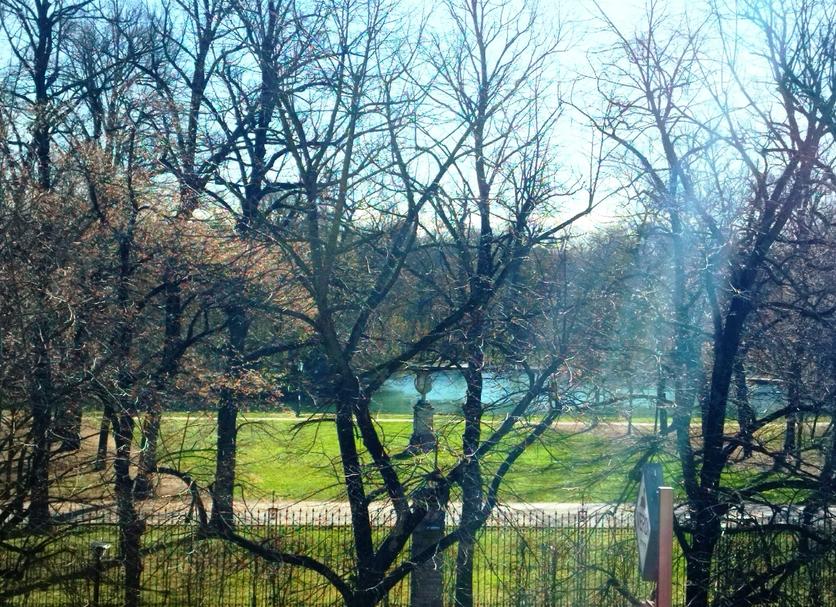 Outdoors view Photo