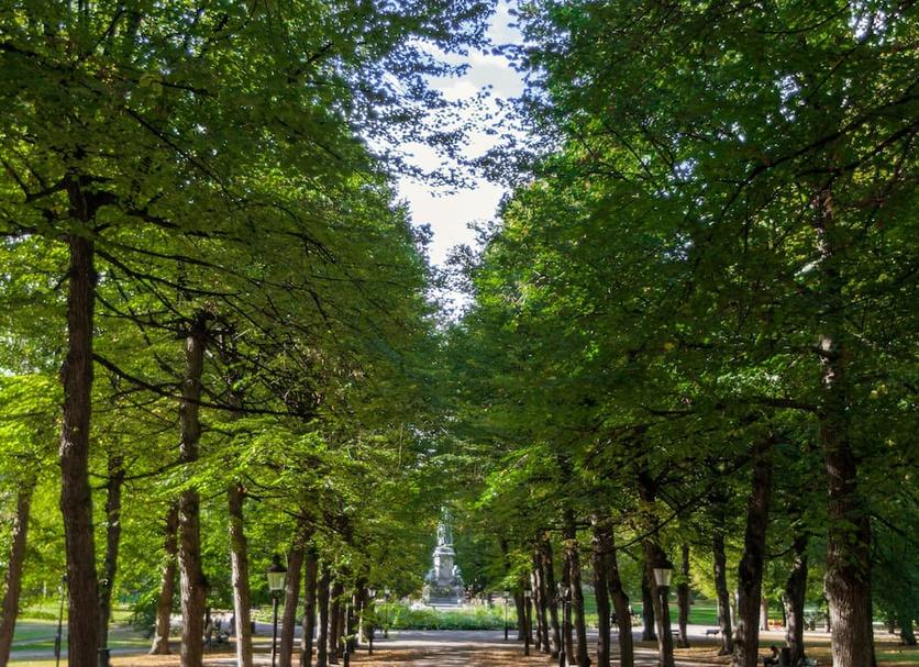 Outdoors view Photo