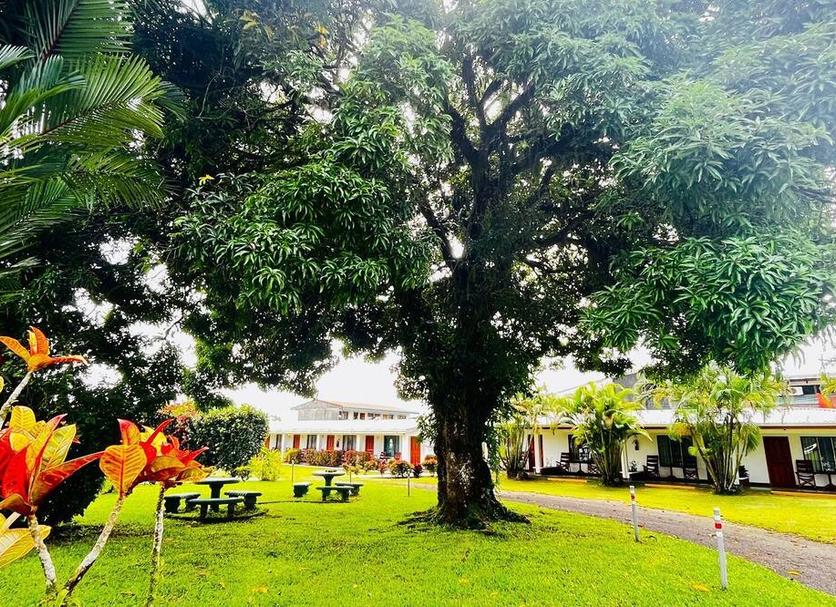 Outdoors view Photo
