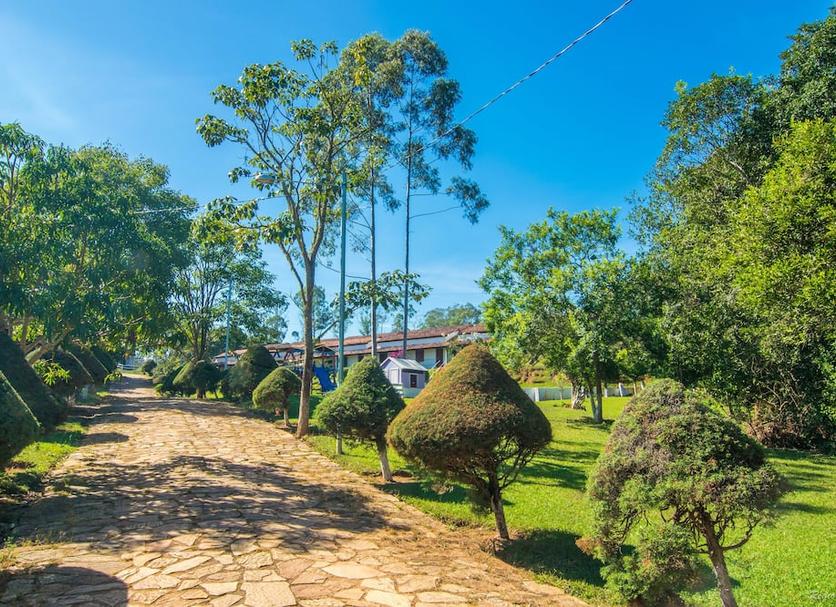 Outdoors view Photo