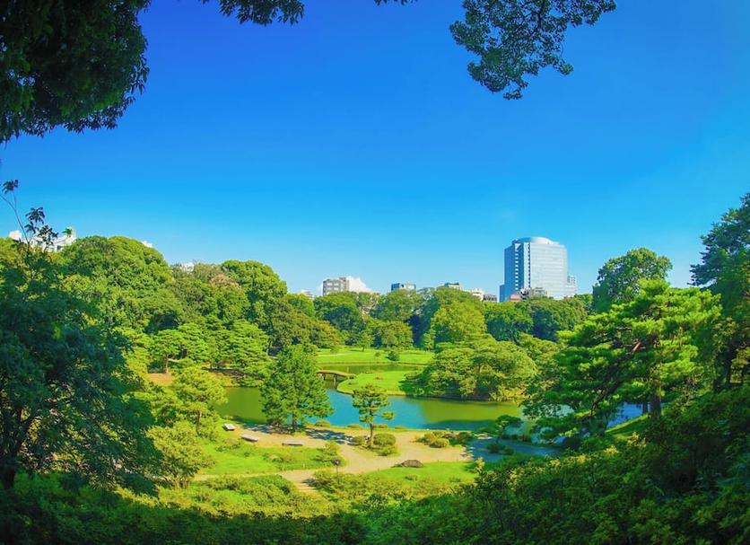 Outdoors view Photo