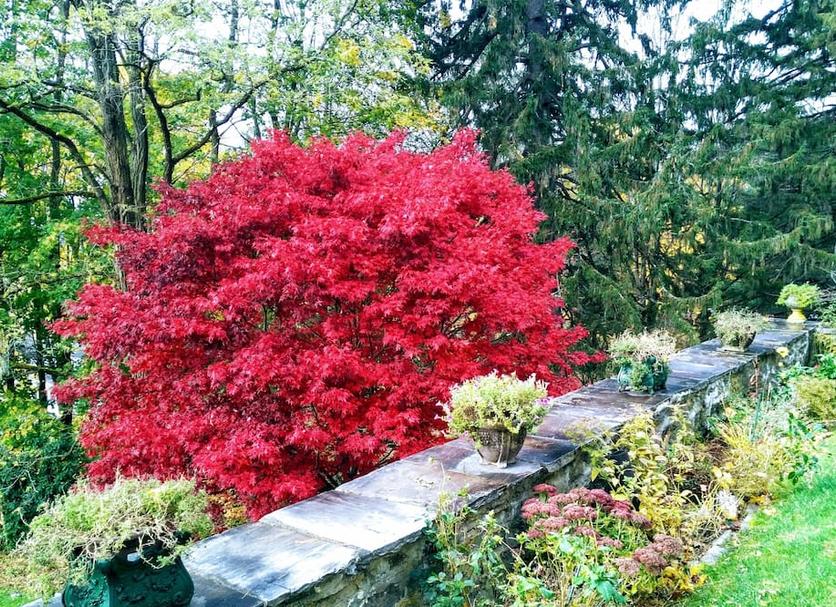 Outdoors view Photo