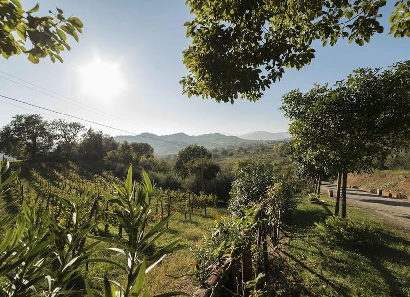 Outdoors view Photo