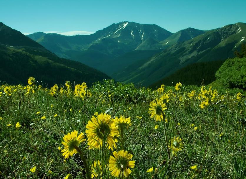 Outdoors view Photo