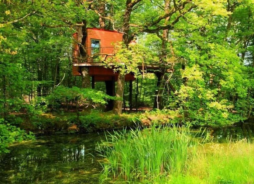 Outdoors view Photo
