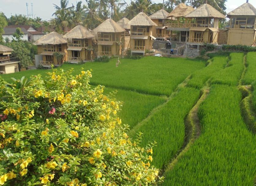 Outdoors view Photo
