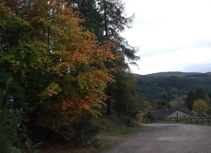 Outdoors view Photo