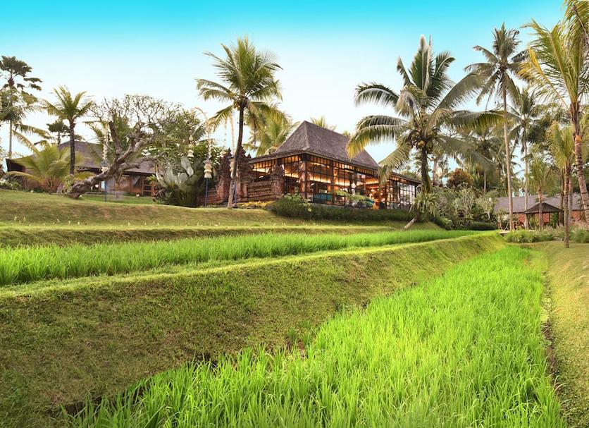 Outdoors view Photo