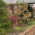 Outdoors view