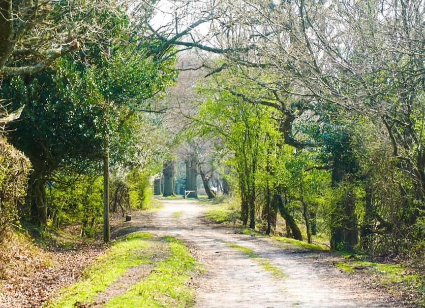 Outdoors view Photo