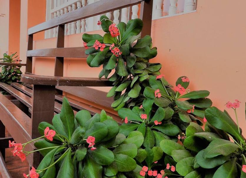 Outdoors view Photo