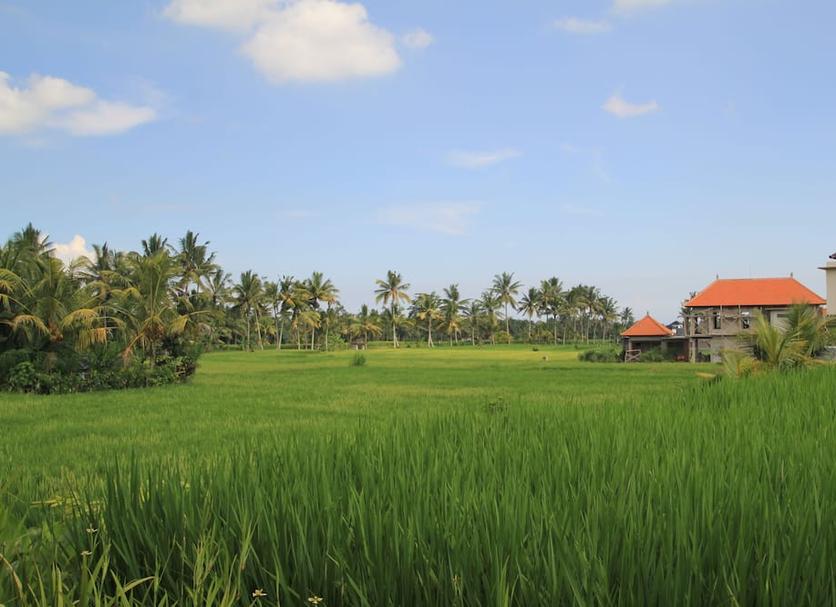 Outdoors view Photo