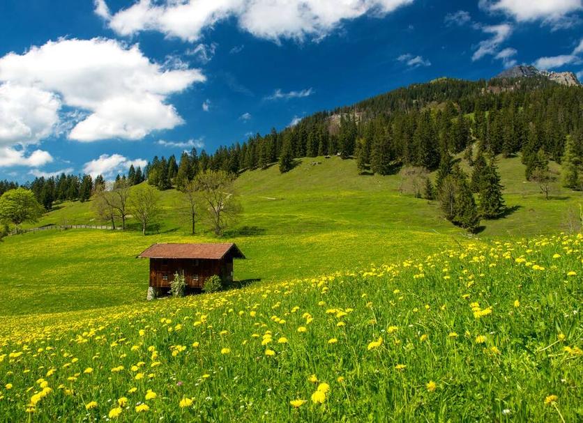 Outdoors view Photo