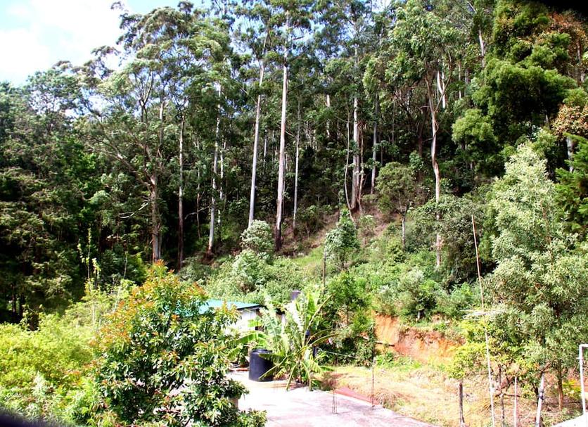 Outdoors view Photo