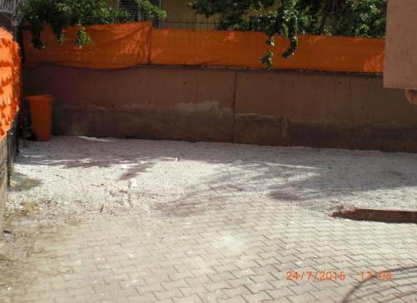 Other Photo