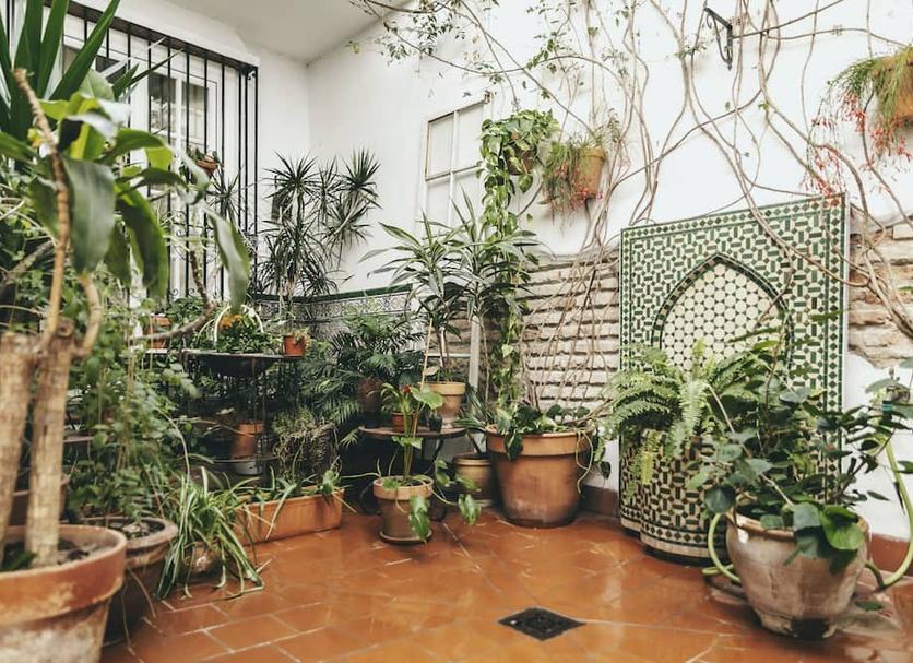 Outdoors view Photo