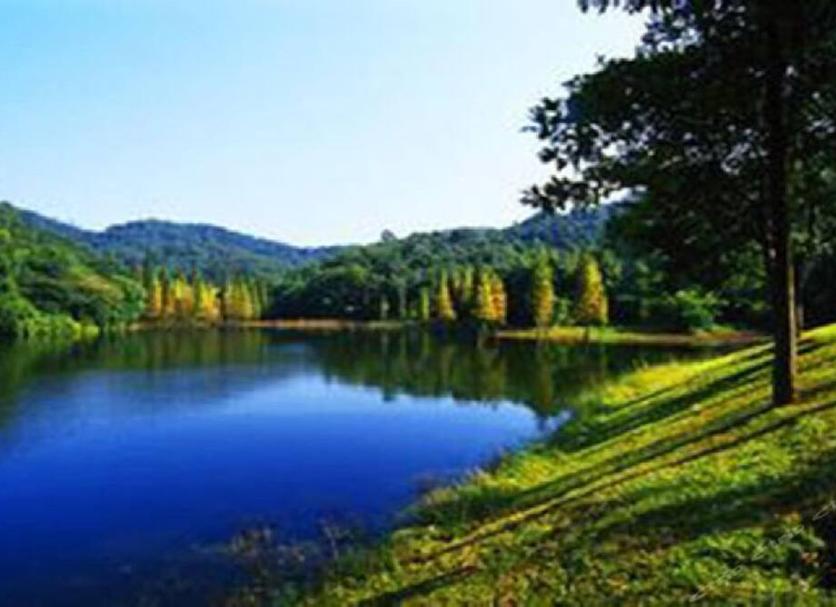 Outdoors view Photo