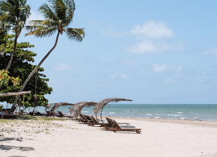 Beach Photo