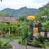 Outdoors view