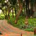 Outdoors view