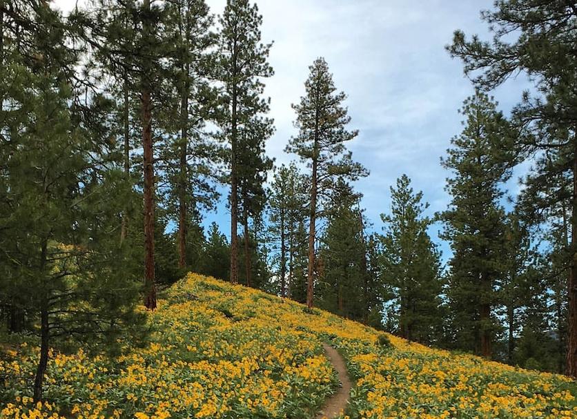 Outdoors view Photo