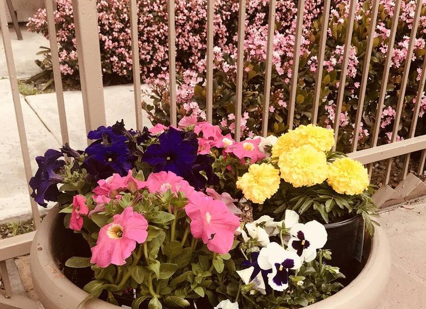 Outdoors view Photo