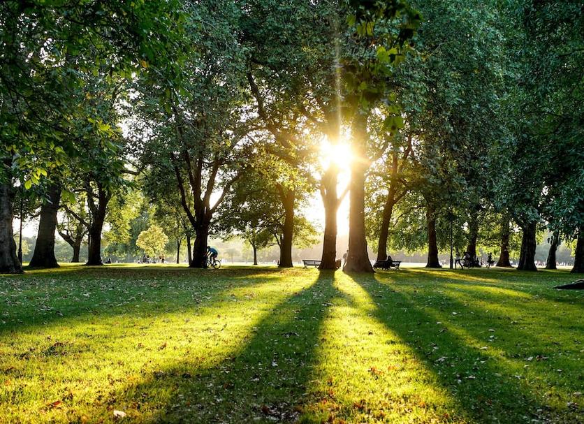 Outdoors view Photo