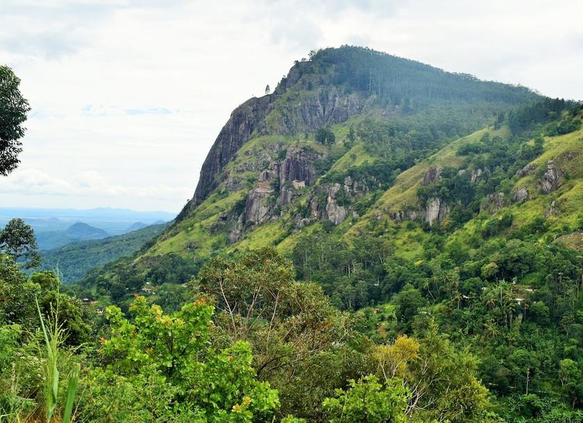 Outdoors view Photo