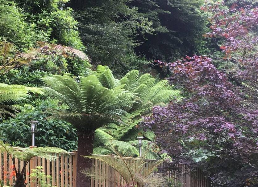 Outdoors view Photo