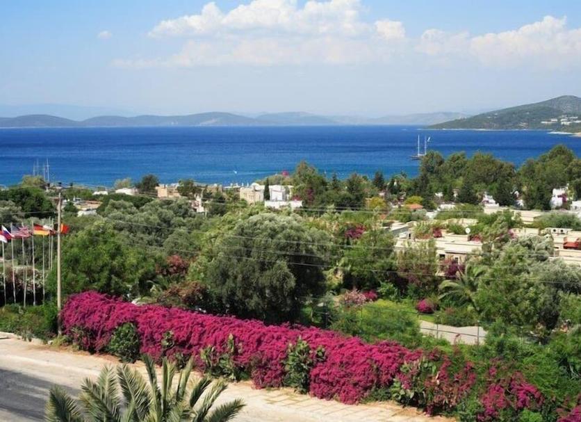 Outdoors view Photo