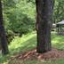 Outdoors view