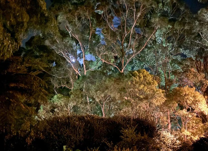 Outdoors view Photo