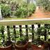 Outdoors view