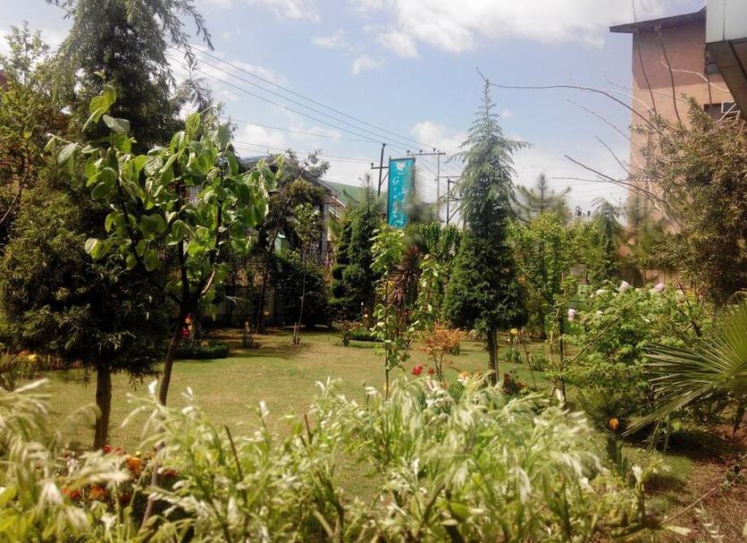 Outdoors view Photo
